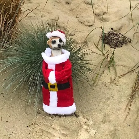 Gasthuis Ottenheide Schloß Holte-Stukenbrock