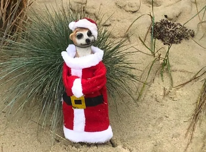 Гостевой дом Ottenheide Шлос-Хольте-Штукенброк